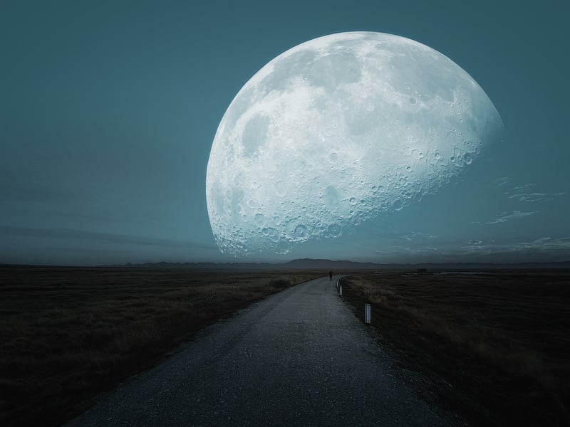 Predestination Paradox